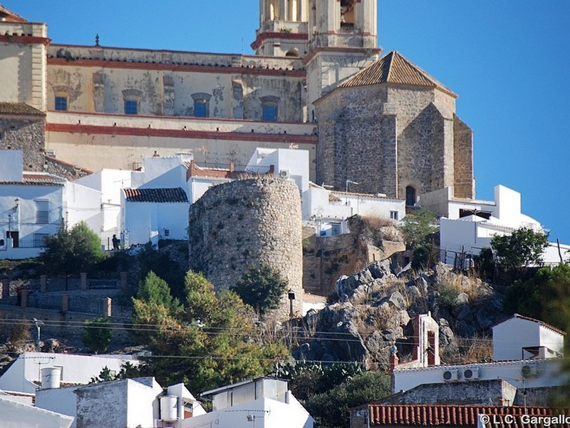 Imagen de Torre de los Olivillos