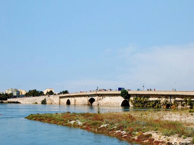 Puente Zuazo