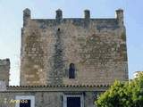 Castillo de Gigonza