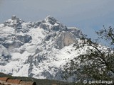 Picos de Europa