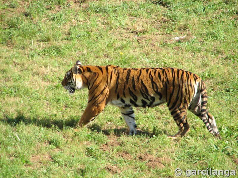 Parque Natural de Cabárceno