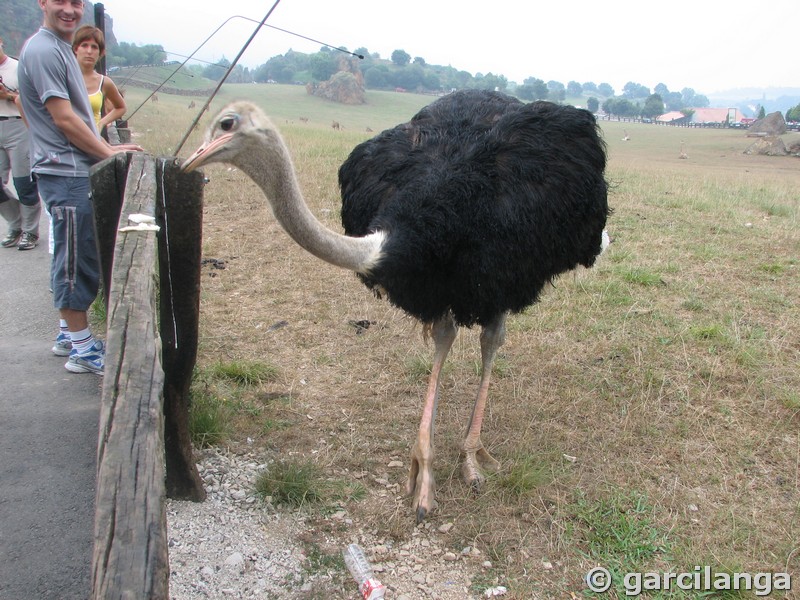 Parque Natural de Cabárceno