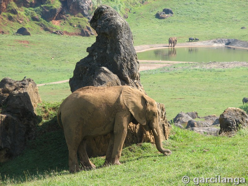 Parque Natural de Cabárceno