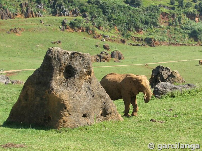 Parque Natural de Cabárceno