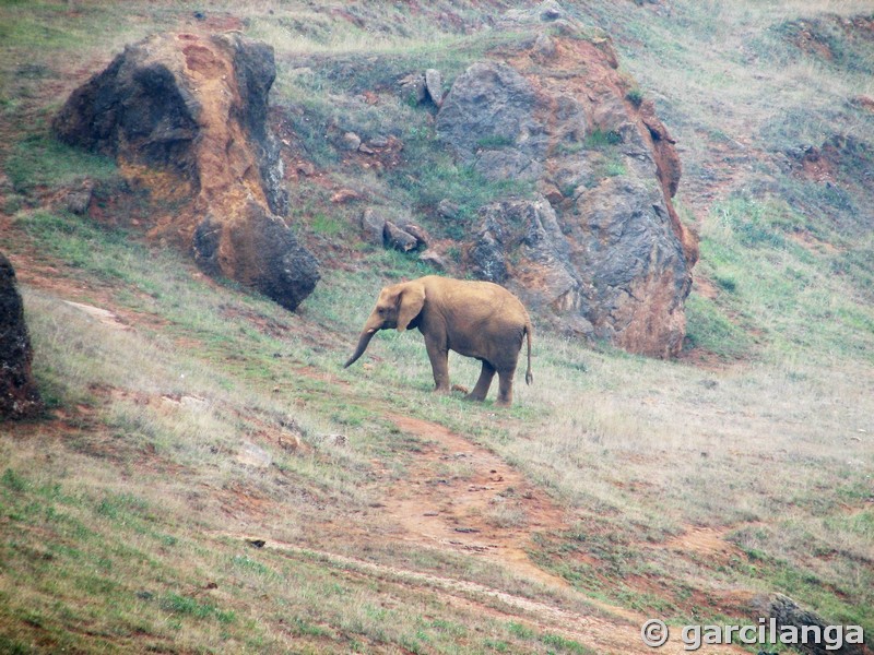 Parque Natural de Cabárceno