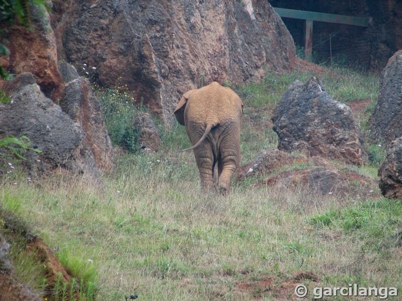 Parque Natural de Cabárceno