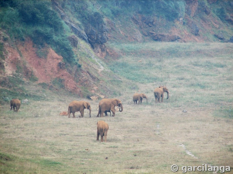 Parque Natural de Cabárceno