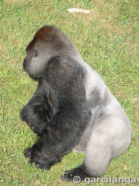 Parque Natural de Cabárceno