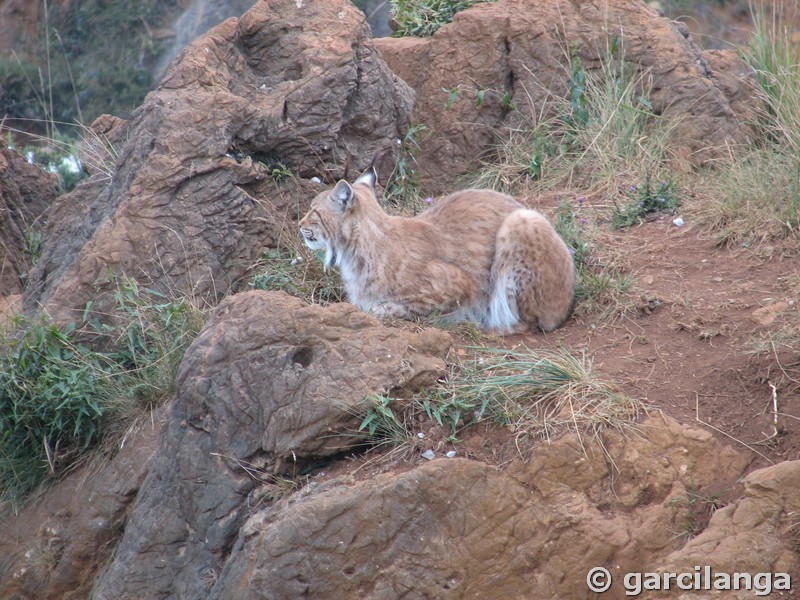 Parque Natural de Cabárceno