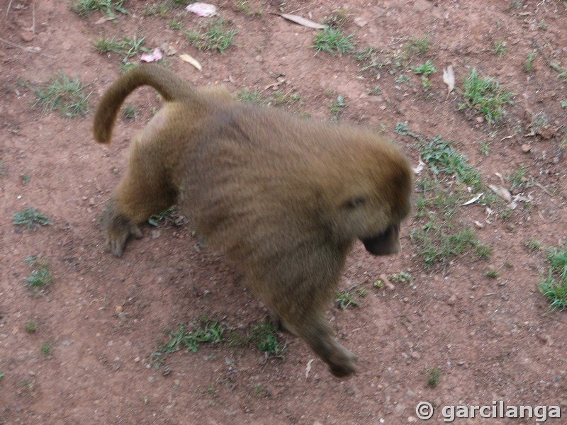 Parque Natural de Cabárceno