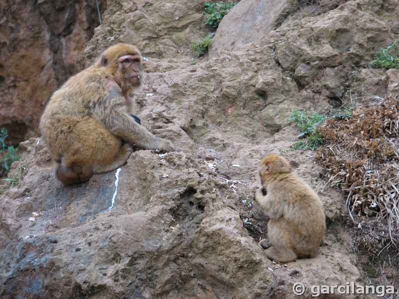 Parque Natural de Cabárceno