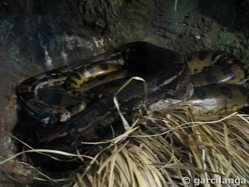 Parque Natural de Cabárceno