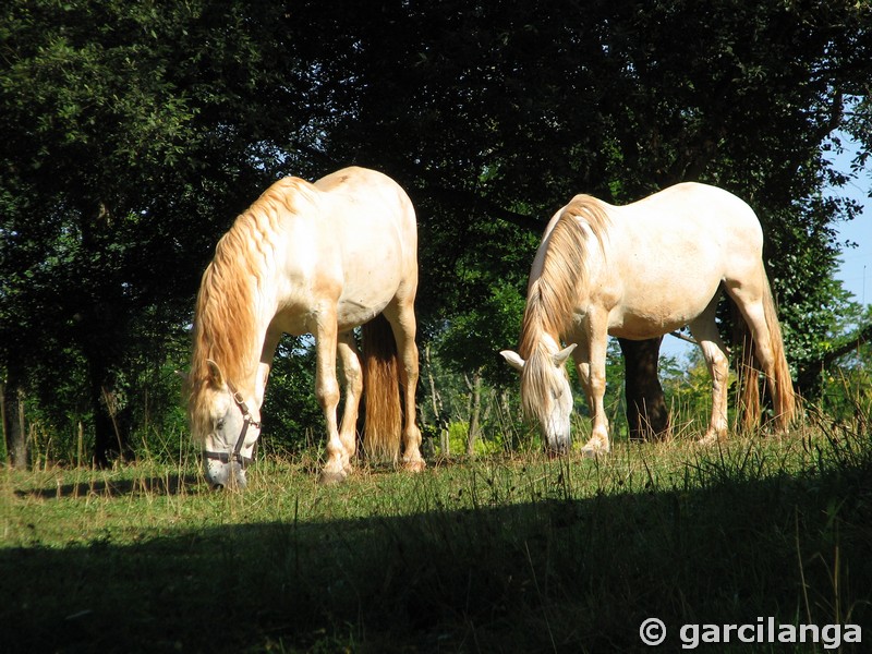 Parque Natural de Cabárceno