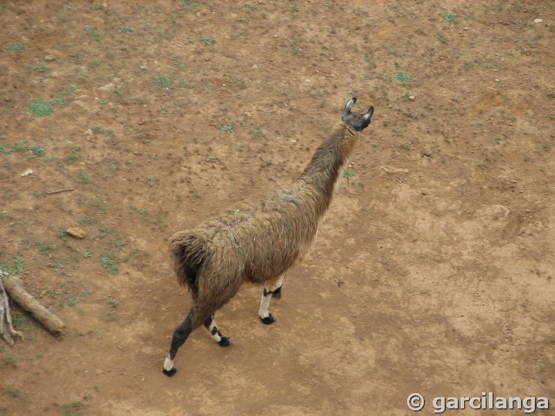 Parque Natural de Cabárceno