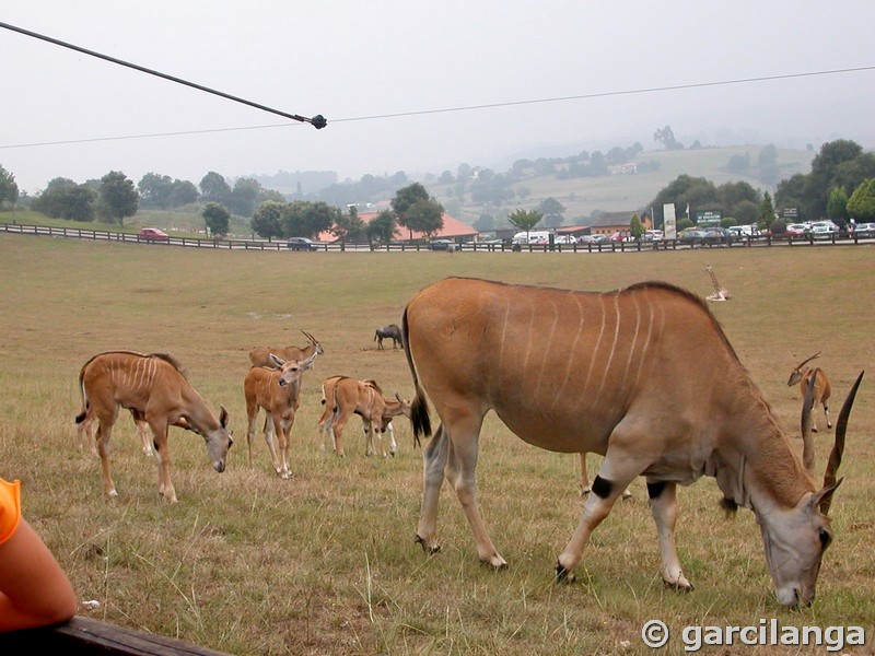 Parque Natural de Cabárceno