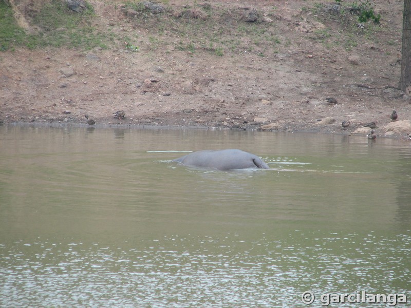 Parque Natural de Cabárceno