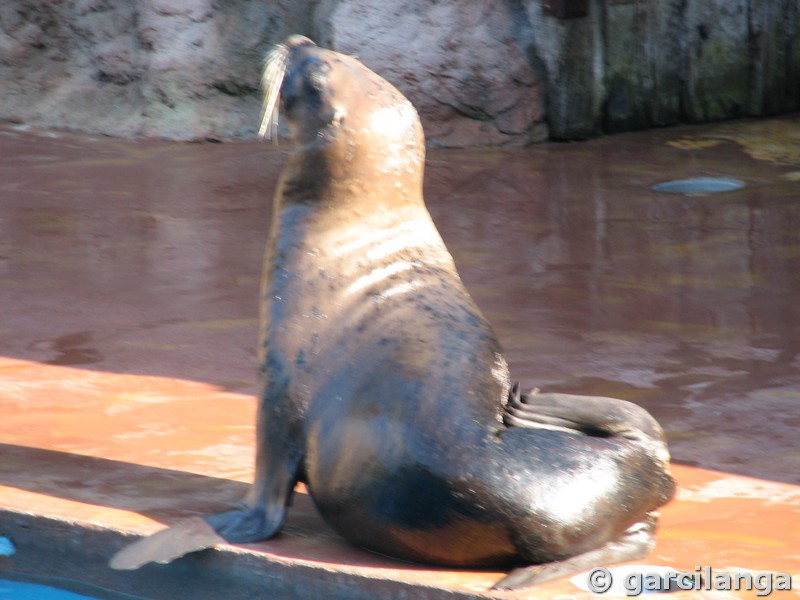 Parque Natural de Cabárceno