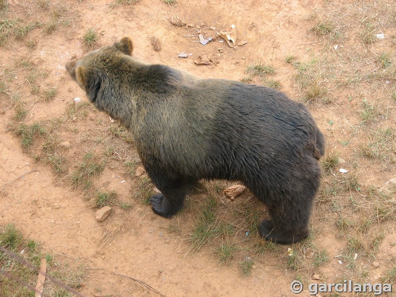 Parque Natural de Cabárceno