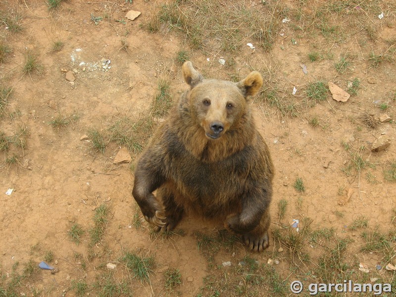 Parque Natural de Cabárceno