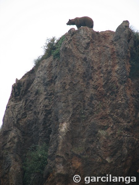 Parque Natural de Cabárceno