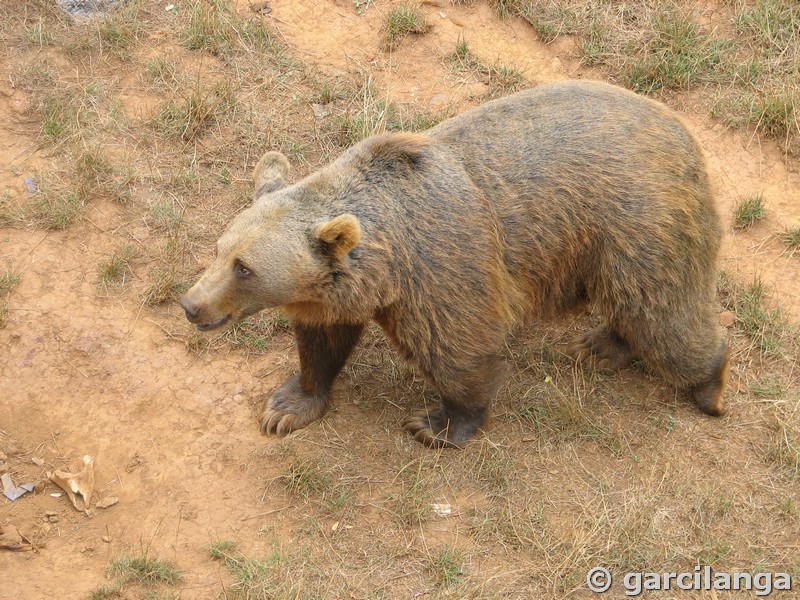 Parque Natural de Cabárceno