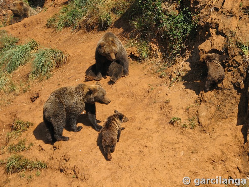 Parque Natural de Cabárceno