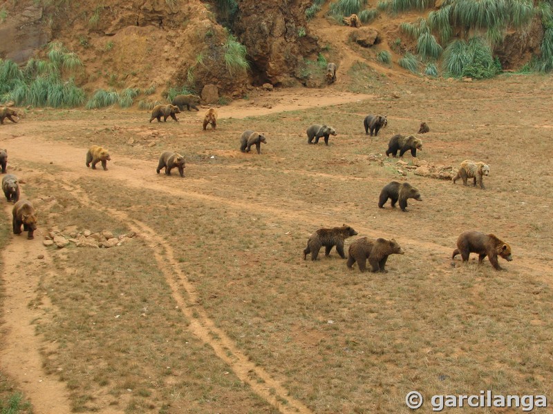 Parque Natural de Cabárceno