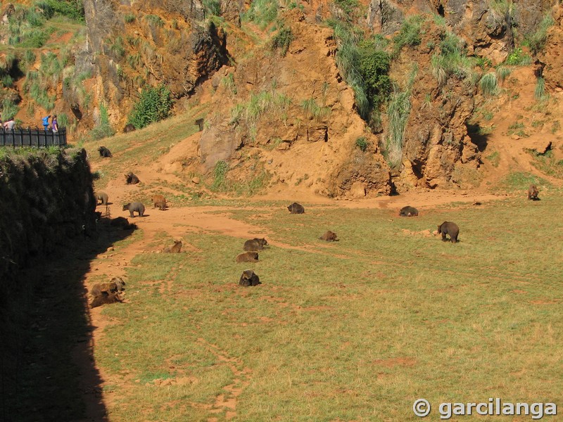 Parque Natural de Cabárceno