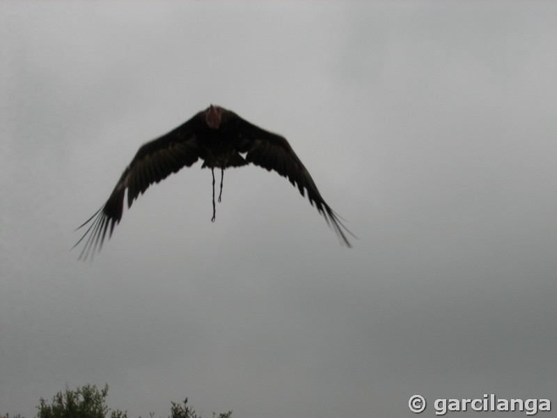 Parque Natural de Cabárceno