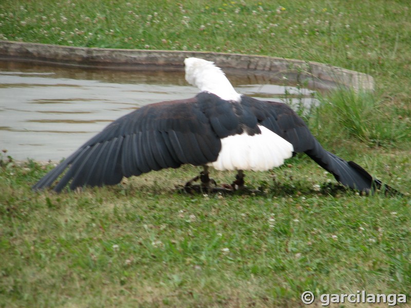 Parque Natural de Cabárceno