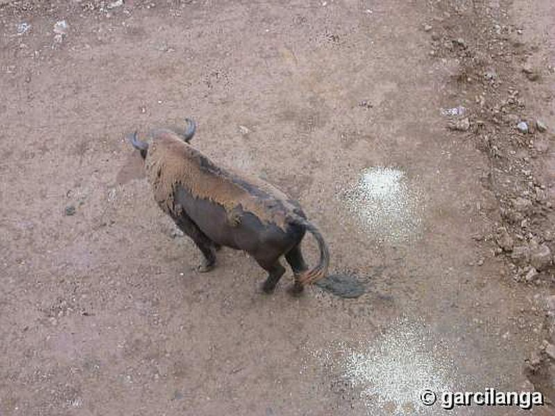 Parque Natural de Cabárceno