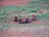 Parque Natural de Cabárceno