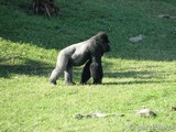 Parque Natural de Cabárceno