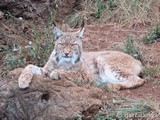 Parque Natural de Cabárceno