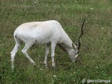 Parque Natural de Cabárceno