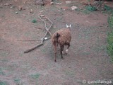 Parque Natural de Cabárceno