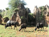 Parque Natural de Cabárceno