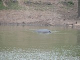 Parque Natural de Cabárceno