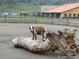 Parque Natural de Cabárceno