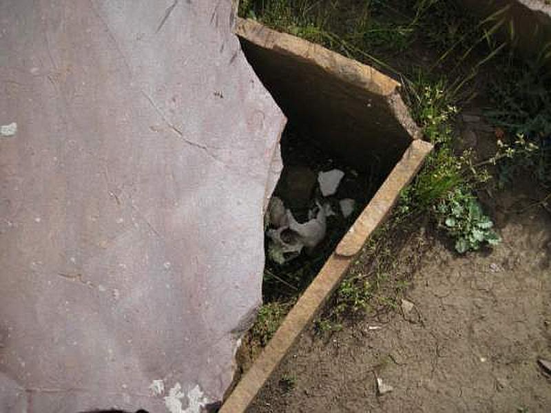 Yacimiento arqueológico de La Cueva