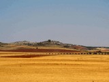 Torre de la Higuera