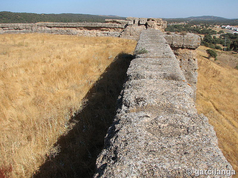 Castillo de El Vacar