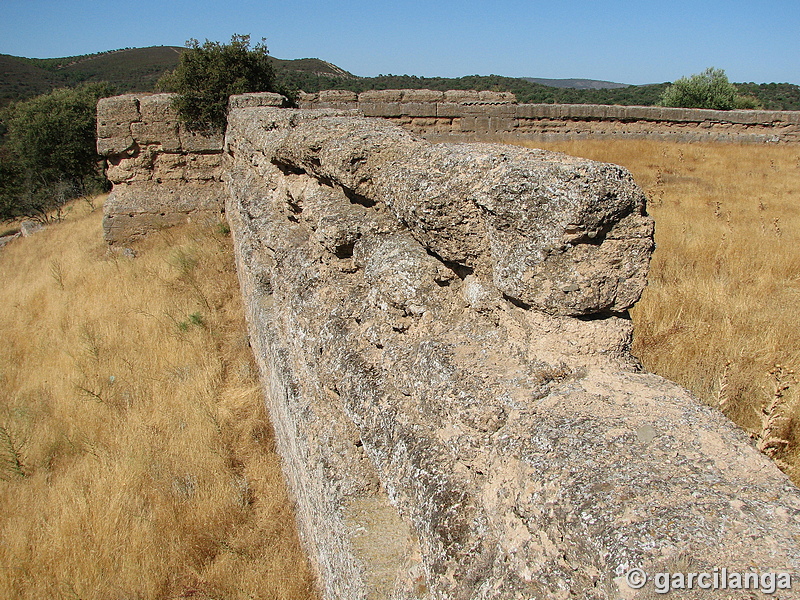 Castillo de El Vacar