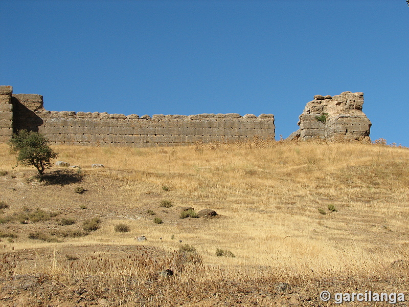 Castillo de El Vacar