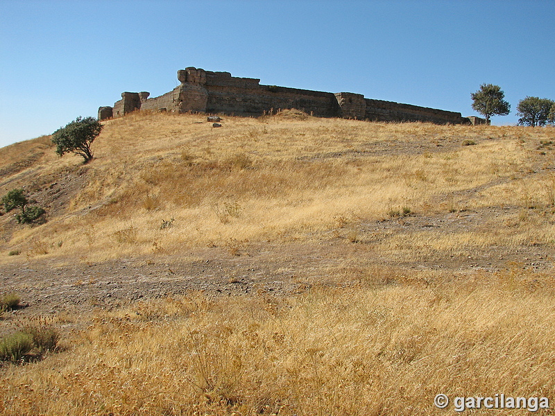 Castillo de El Vacar