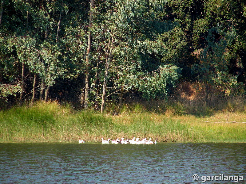 Embalse de Guadanuño