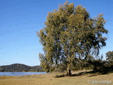 Embalse de Guadanuño