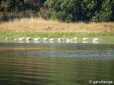 Embalse de Guadanuño