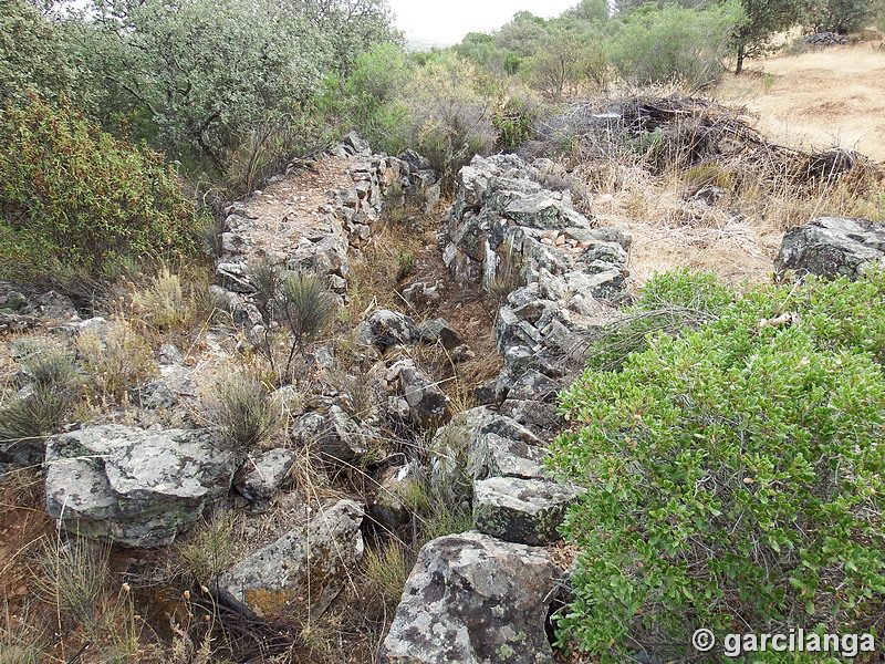 Trincheras de la Loma de Buenavista