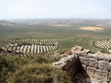 Castillo de Anzur